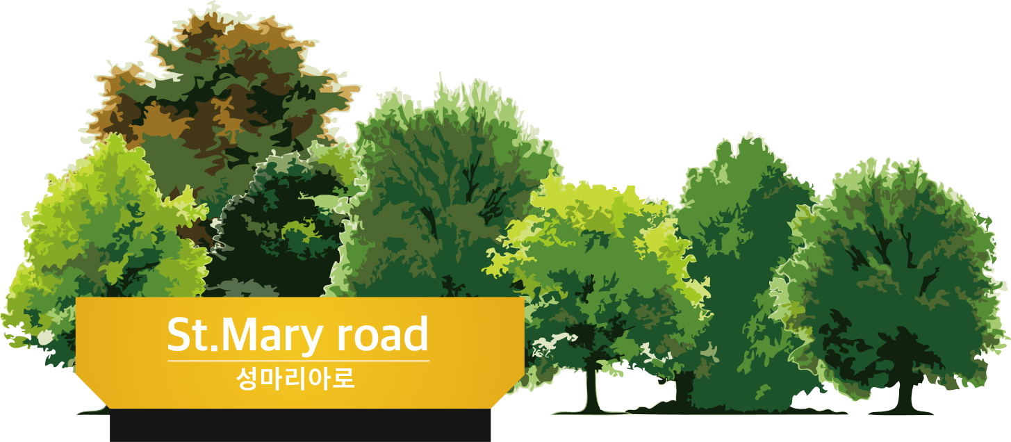 St.Mary road 성마리아로