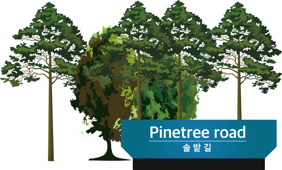 Pinetree road 솔밭길