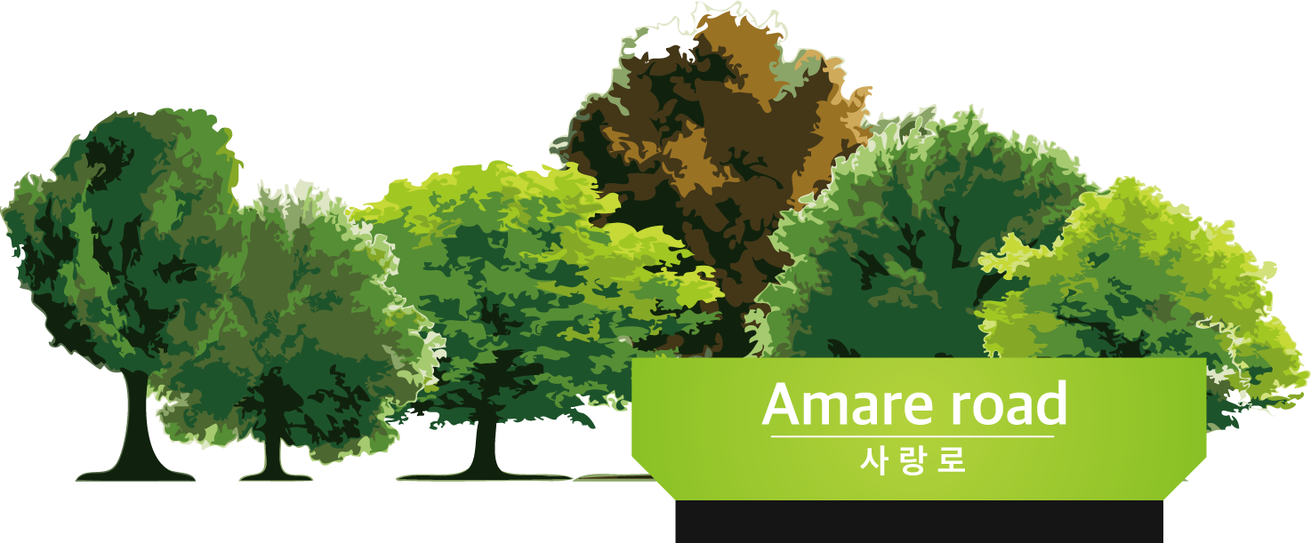 Amare road 사랑로